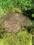 image of grave number 505017